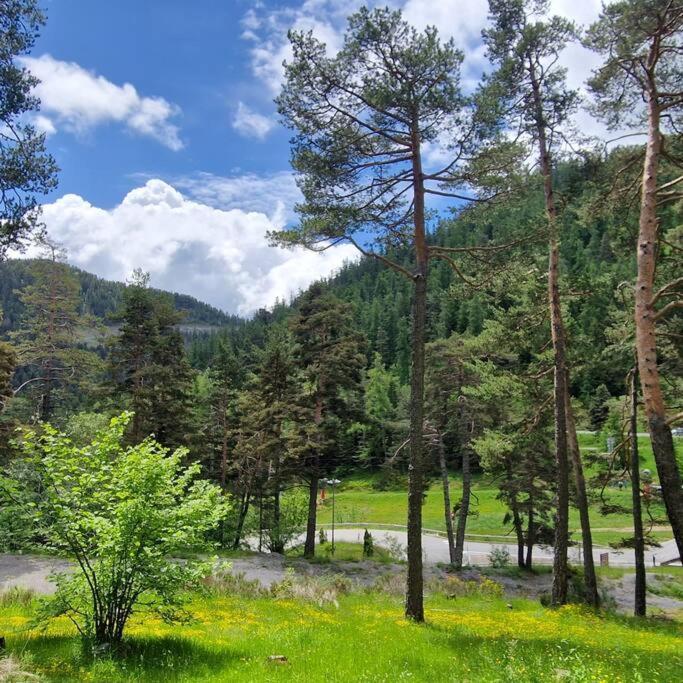 Appartement 3 Pieces Avec Jardin Вальдеблор Экстерьер фото
